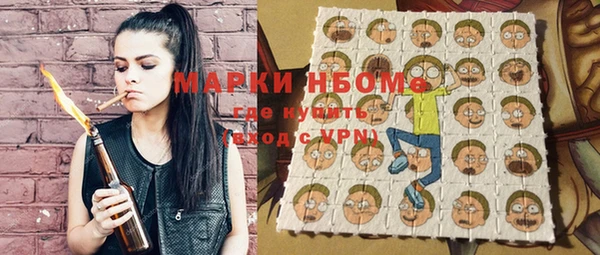 шишки Шадринск