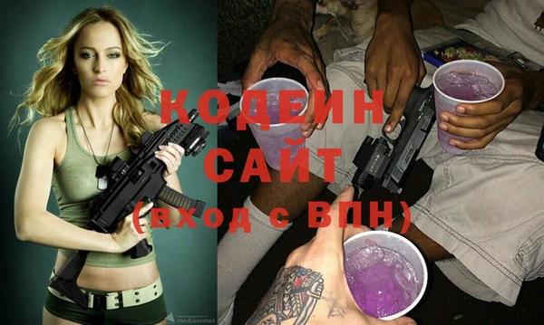 шишки Шадринск