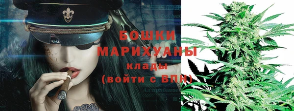 шишки Шадринск