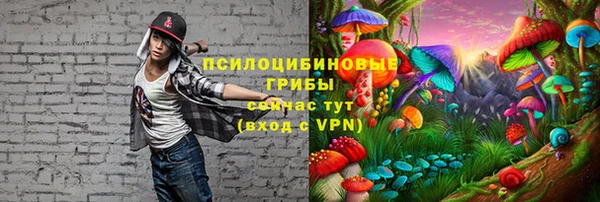 ешки Шали