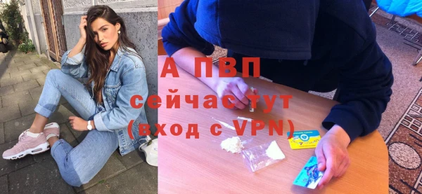 ешки Шали