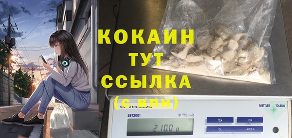 шишки Шадринск