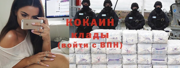 шишки Шадринск