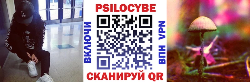 Купить  Ухта  Псилоцибиновые грибы MAGIC MUSHROOMS 